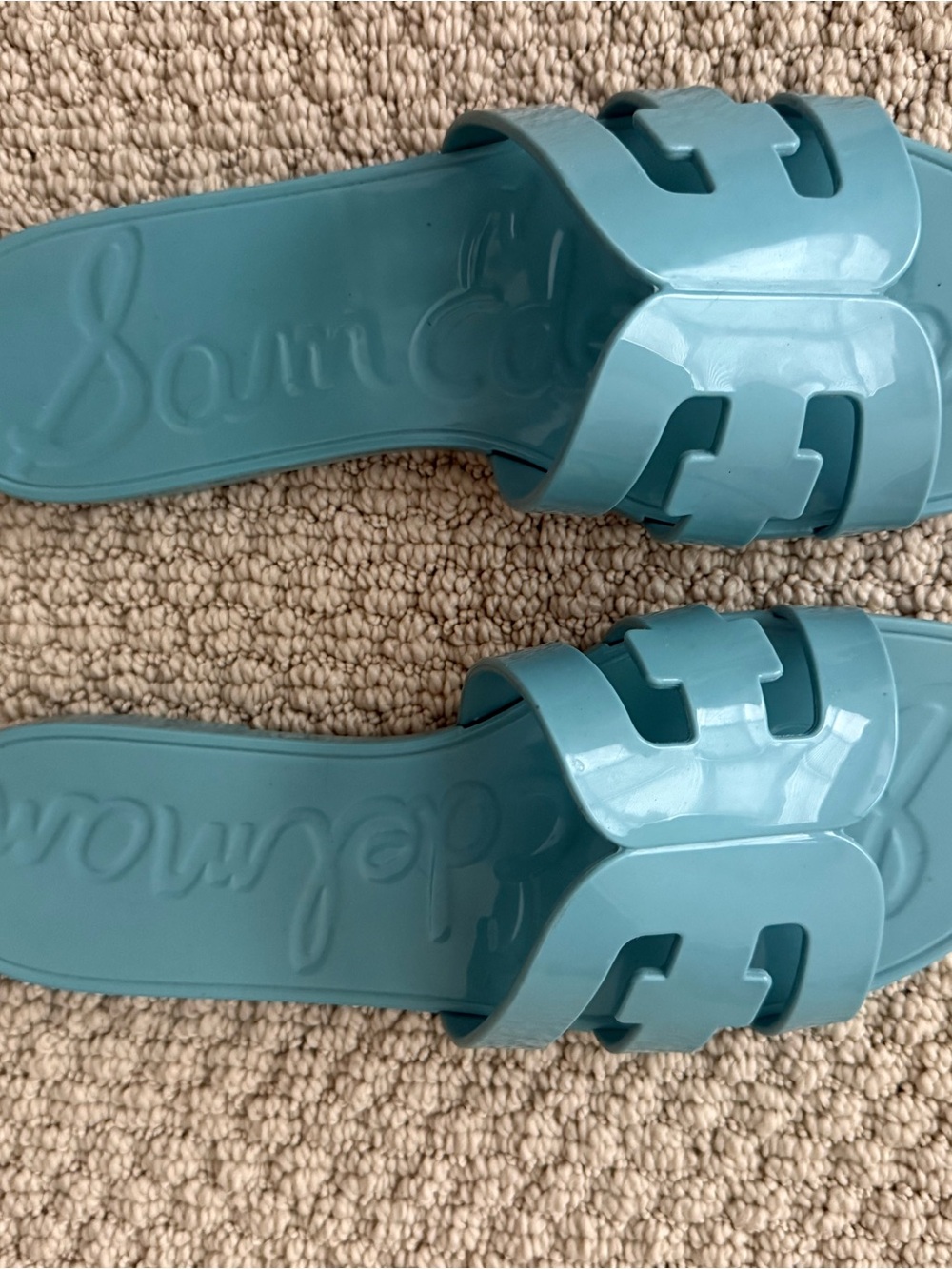 Sam Edelman Blue Jelly Slide Sandals